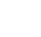 Full Valet